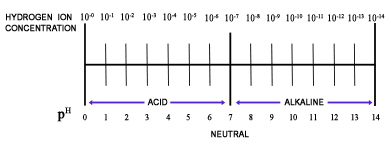 Diagnostic Tests: Image 7