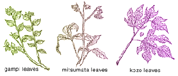 Nature of materials: mulberry leaves